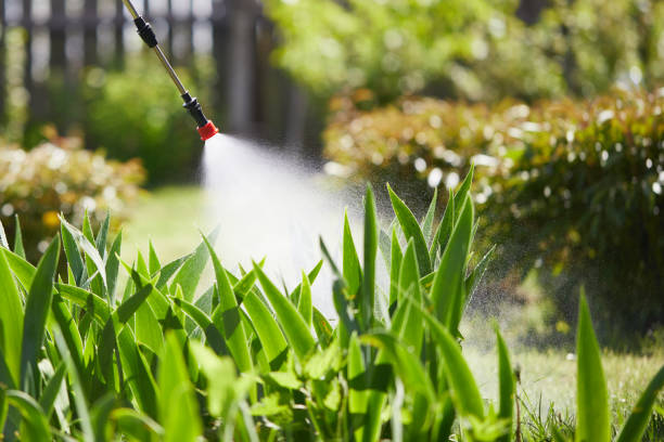 24/7 Emergency Mosquito Control experts in Hopatcong, NJ